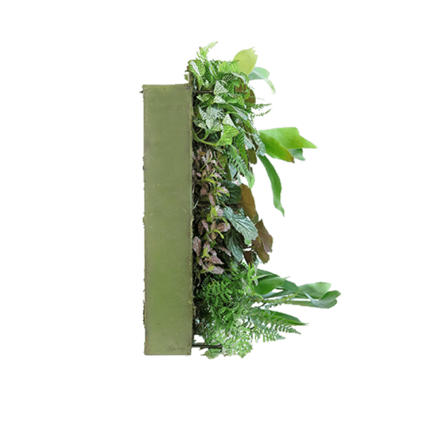 Semaine tastemaker Rohan Silva enjoys standing plant living wall by Sagegreenlife