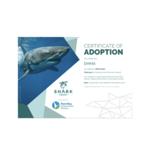 Semaine tastemaker Pixie Geldof recommends adopt a shark