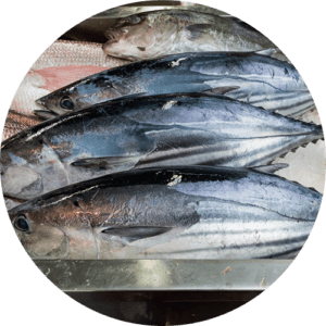 Claire Touzard chooses Okinawa Fish Market for her Semaine Explore