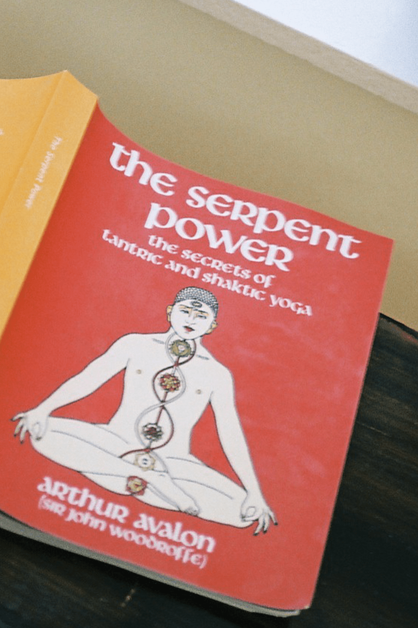 The Serpent Power one of Amanda Norgaard's favourite books