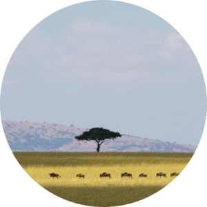 Lucia Pica selects Kenya for her Semaine travel recommendations