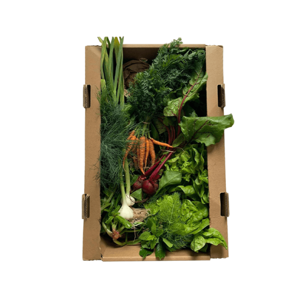 Jane Scotter selects Fern Verrow Vegetable Box for her Semaine shop