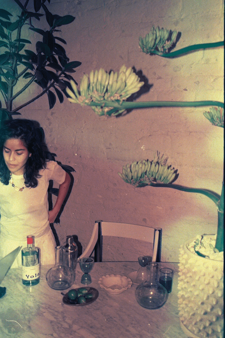 Yola Jimenez in her kitchen in Mexico City