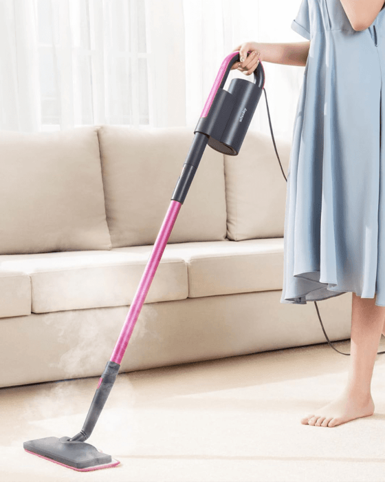 Schenley hand held steam cleaner and mop usage, chosen by Semaine Tastemaker Paris Starn.