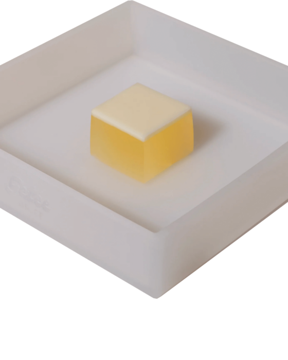 square mould and jelly by gelée for gelée marché x semaine